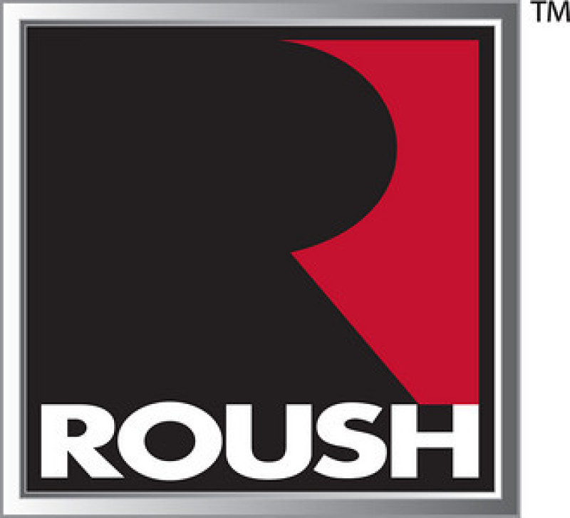 ROUSH 2015-2019 Ford Mustang Primed Quarter Panel Side Scoops - Bild 2