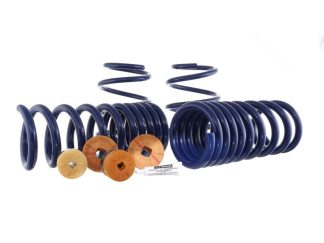 Ford Racing 15-22 Mustang Track Lowering Spring Kit