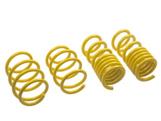 ST Lowering Springs Ford Mustang V8